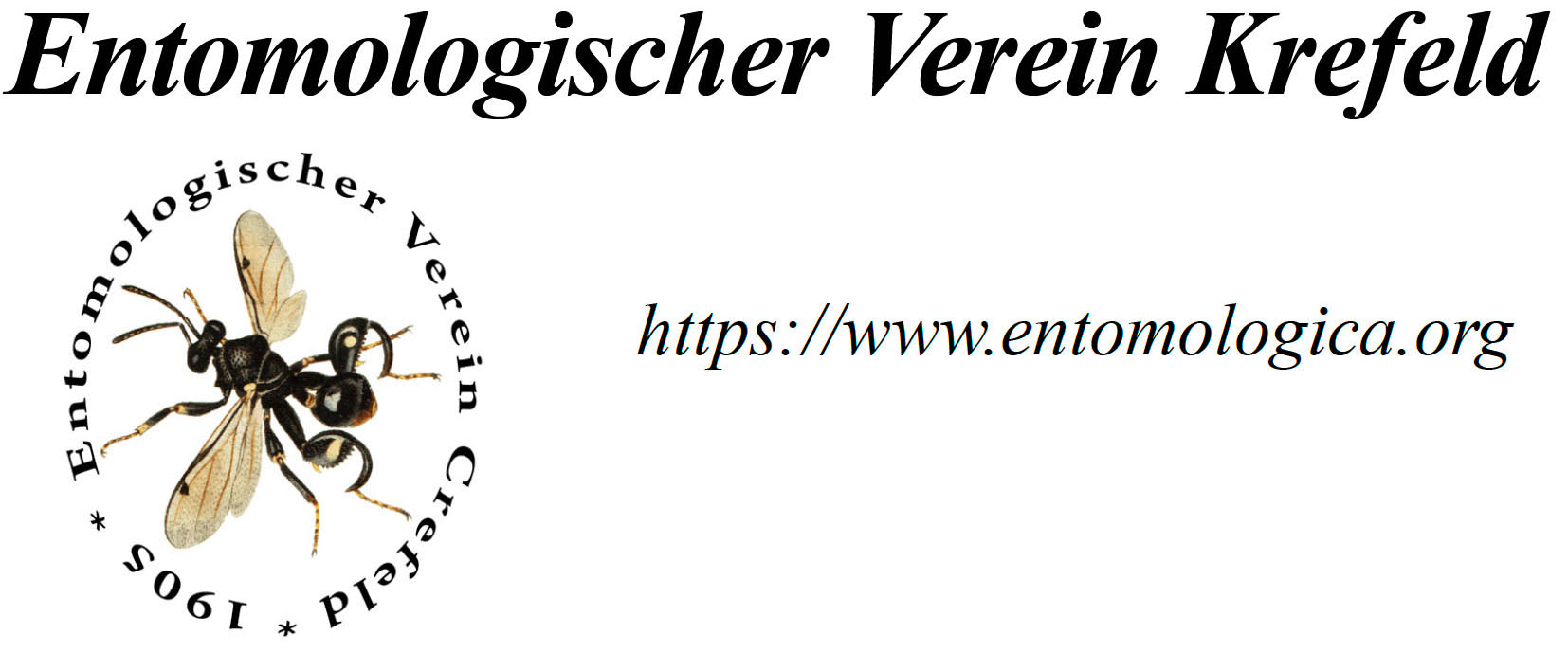 evk-banner-de